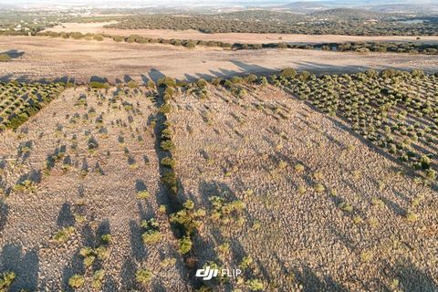 Tomt i Terrugem e Vila Boim, Portalegre, Terrugem e Vila Boim - € 50 625 | Ref: C0364-05102 - foto 10