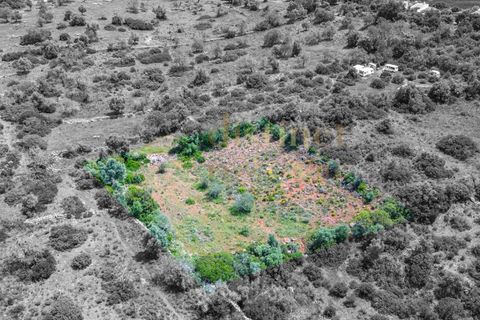 Helårsgrund i Silves, Faro, Silves - € 21.500 | Ref: SÒL_1114 - foto 2