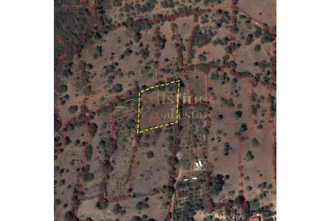 Helårsgrund i Silves, Faro, Silves - € 21.500 | Ref: SÒL_1114 - foto 5