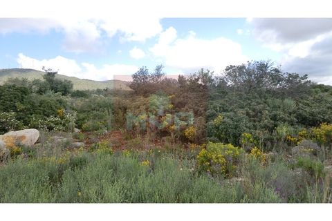 Helårsgrund i Quelfes, Faro, Quelfes - € 30.000 | Ref: 165080390 - foto 3