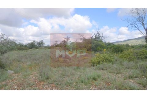 Helårsgrund i Quelfes, Faro, Quelfes - € 35.000 | Ref: 165080389 - foto 1