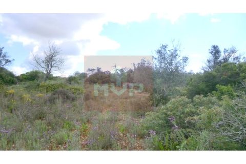 Helårsgrund i Quelfes, Faro, Quelfes - € 35.000 | Ref: 165080389 - foto 2