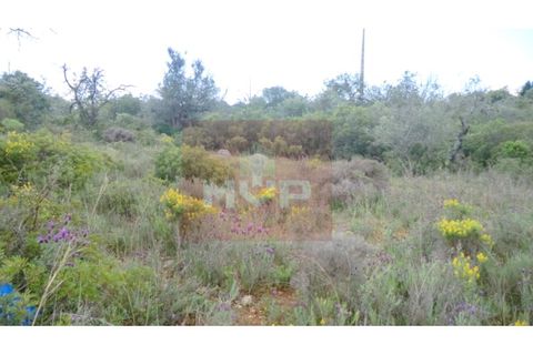 Helårsgrund i Quelfes, Faro, Quelfes - € 35.000 | Ref: 165080389 - foto 5
