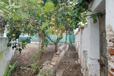 Landejendom i Tavira, Faro, Tavira - € 285.000 | Ref: CAS_26 - foto 25