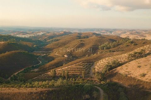Helårsgrund i Ourique, Beja, Ourique - € 87.000 | Ref: C0240-03433 - foto 7