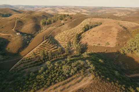 Helårsgrund i Ourique, Beja, Ourique - € 87.000 | Ref: C0240-03433 - foto 8
