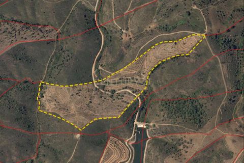 Helårsgrund i Ourique, Beja, Ourique - € 87.000 | Ref: C0240-03433 - foto 15