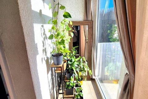Villa a Ceret, Pyrenees-Orientales, Ceret - € 329.000 | Ref: 6467VOS - foto 7