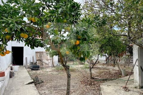 Helårsgrund i Quinta do Anjo, Setubal, Quinta do Anjo - € 125.000 | Ref: RG0025/25 - foto 5
