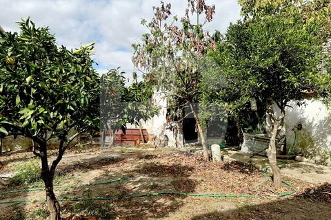 Helårsgrund i Quinta do Anjo, Setubal, Quinta do Anjo - € 125.000 | Ref: RG0025/25 - foto 6