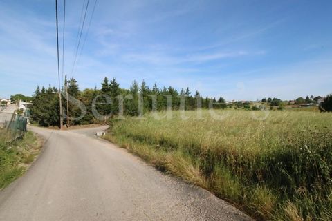 Tomt i Cartaxo, Santarem, Cartaxo - € 40 000 | Ref: SLTMSH.RE5385 - foto 2
