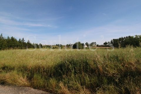 Tomt i Cartaxo, Santarem, Cartaxo - € 40 000 | Ref: SLTMSH.RE5385 - foto 3