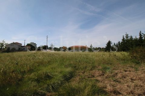 Tomt i Cartaxo, Santarem, Cartaxo - € 40 000 | Ref: SLTMSH.RE5385 - foto 4
