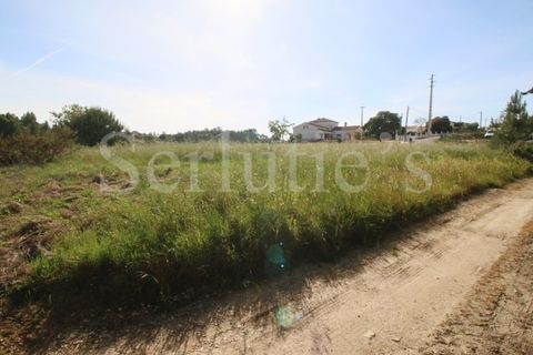 Tomt i Cartaxo, Santarem, Cartaxo - € 40 000 | Ref: SLTMSH.RE5385 - foto 5