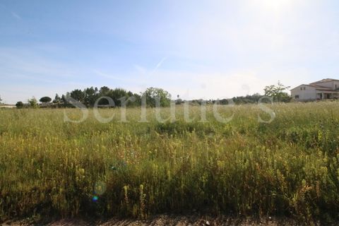Tomt i Cartaxo, Santarem, Cartaxo - € 40 000 | Ref: SLTMSH.RE5385 - foto 6