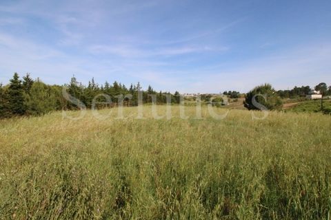 Tomt i Cartaxo, Santarem, Cartaxo - € 40 000 | Ref: SLTMSH.RE5385 - foto 7