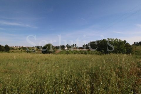 Tomt i Cartaxo, Santarem, Cartaxo - € 40 000 | Ref: SLTMSH.RE5385 - foto 8