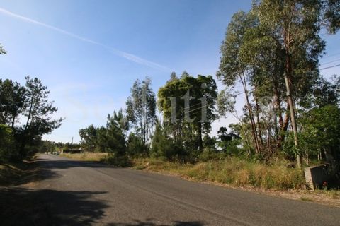 Tomt i Cartaxo, Santarem, Cartaxo - € 40 000 | Ref: SLTMSH.RE5385 - foto 10