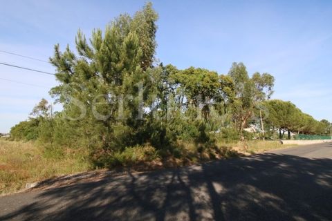 Tomt i Cartaxo, Santarem, Cartaxo - € 40 000 | Ref: SLTMSH.RE5385 - foto 11