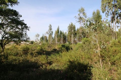 Tomt i Cartaxo, Santarem, Cartaxo - € 40 000 | Ref: SLTMSH.RE5385 - foto 15