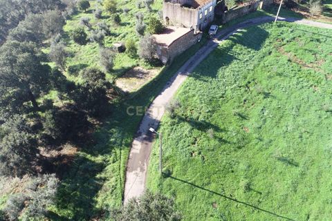 Helårsgrund i Serta, Castelo Branco, Serta - € 155.000 | Ref: C0444-00764 - foto 8