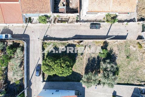 Helårsgrund i Castelo Branco, Castelo Branco, Castelo Branco - € 54.500 | Ref: PP4672 - foto 1