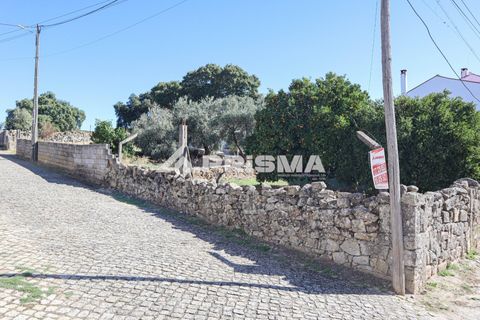 Helårsgrund i Castelo Branco, Castelo Branco, Castelo Branco - € 54.500 | Ref: PP4672 - foto 2