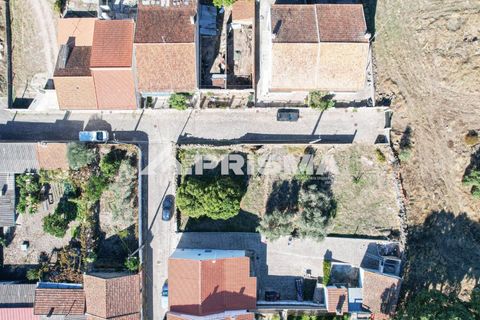 Helårsgrund i Castelo Branco, Castelo Branco, Castelo Branco - € 54.500 | Ref: PP4672 - foto 4