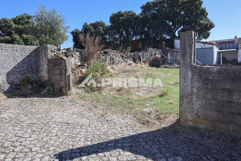 Helårsgrund i Castelo Branco, Castelo Branco, Castelo Branco - € 54.500 | Ref: PP4672 - foto 5