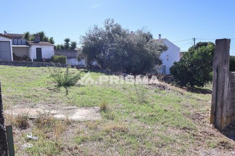 Helårsgrund i Castelo Branco, Castelo Branco, Castelo Branco - € 54.500 | Ref: PP4672 - foto 6