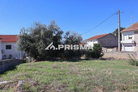 Helårsgrund i Castelo Branco, Castelo Branco, Castelo Branco - € 54.500 | Ref: PP4672 - foto 7
