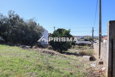 Helårsgrund i Castelo Branco, Castelo Branco, Castelo Branco - € 54.500 | Ref: PP4672 - foto 8