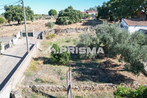 Helårsgrund i Castelo Branco, Castelo Branco, Castelo Branco - € 54.500 | Ref: PP4672 - foto 9