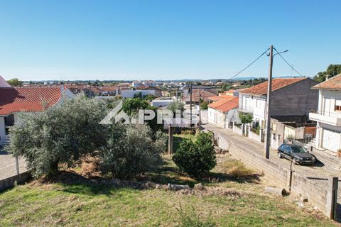 Helårsgrund i Castelo Branco, Castelo Branco, Castelo Branco - € 54.500 | Ref: PP4672 - foto 10