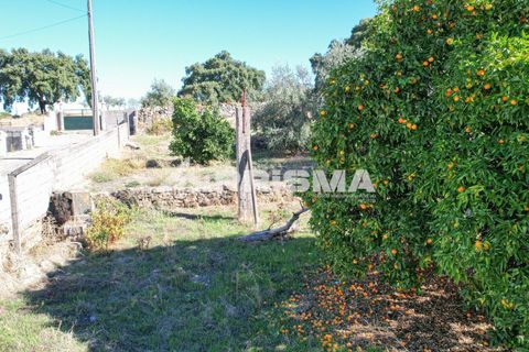 Helårsgrund i Castelo Branco, Castelo Branco, Castelo Branco - € 54.500 | Ref: PP4672 - foto 11