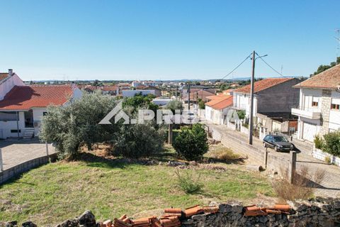 Helårsgrund i Castelo Branco, Castelo Branco, Castelo Branco - € 54.500 | Ref: PP4672 - foto 12