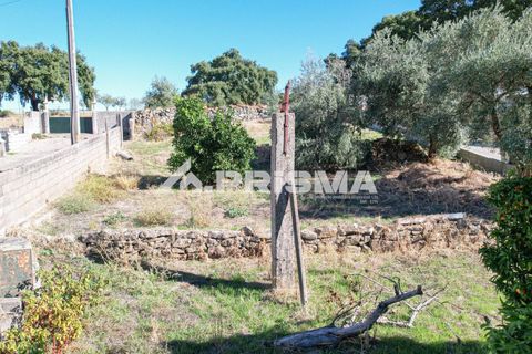 Helårsgrund i Castelo Branco, Castelo Branco, Castelo Branco - € 54.500 | Ref: PP4672 - foto 13