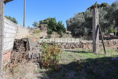 Helårsgrund i Castelo Branco, Castelo Branco, Castelo Branco - € 54.500 | Ref: PP4672 - foto 14
