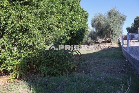 Helårsgrund i Castelo Branco, Castelo Branco, Castelo Branco - € 54.500 | Ref: PP4672 - foto 15