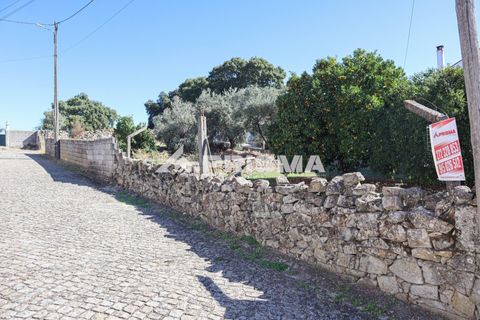 Helårsgrund i Castelo Branco, Castelo Branco, Castelo Branco - € 54.500 | Ref: PP4672 - foto 16