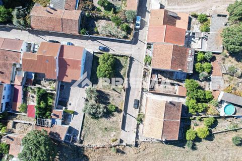 Helårsgrund i Castelo Branco, Castelo Branco, Castelo Branco - € 54.500 | Ref: PP4672 - foto 17