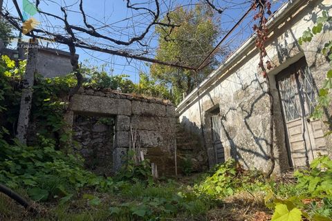 Villa i Arcos de Valdevez, Viana do Castelo, Arcos de Valdevez - € 60.000 | Ref: AVV-021-014 - foto 3