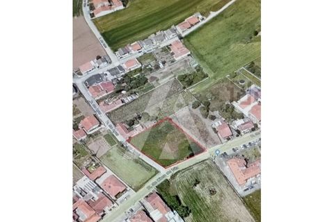 Helårsgrund i Ilhavo, Aveiro, Ilhavo - € 250.000 | Ref: 1040782/25 - foto 1