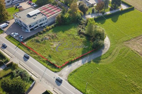 Terra a Vertemate con Minoprio, Como, Vertemate con Minoprio - € 530.000 | Ref: L743 - foto 4