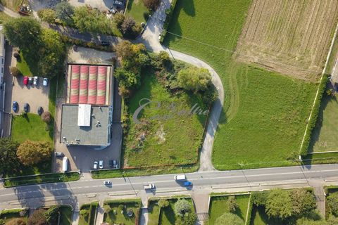 Terra a Vertemate con Minoprio, Como, Vertemate con Minoprio - € 530.000 | Ref: L743 - foto 7
