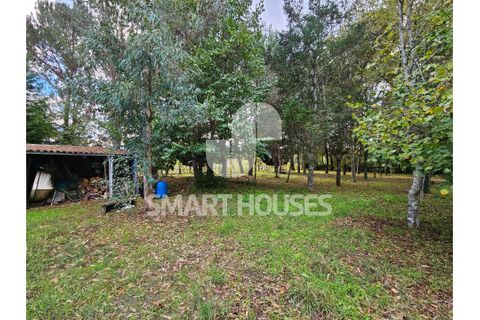 Villa a Arganil, Coimbra, Arganil - € 147.500 | Ref: SHJP302 - foto 22