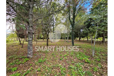 Villa a Arganil, Coimbra, Arganil - € 147.500 | Ref: SHJP302 - foto 25