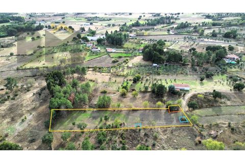 Farm i Castelo Branco, Castelo Branco, Castelo Branco - € 18.695 | Ref: 4961 - foto 1