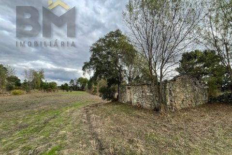 Farm i Castelo Branco, Castelo Branco, Castelo Branco - € 18.695 | Ref: 4961 - foto 2