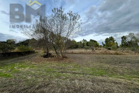 Farm i Castelo Branco, Castelo Branco, Castelo Branco - € 18.695 | Ref: 4961 - foto 5